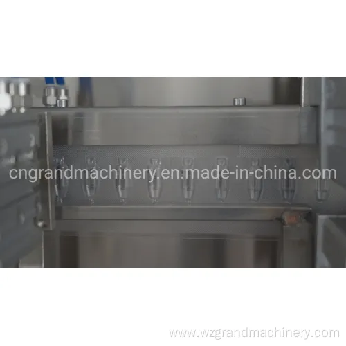 Sealing Machine with Date Coding Ggs-118 (P5)